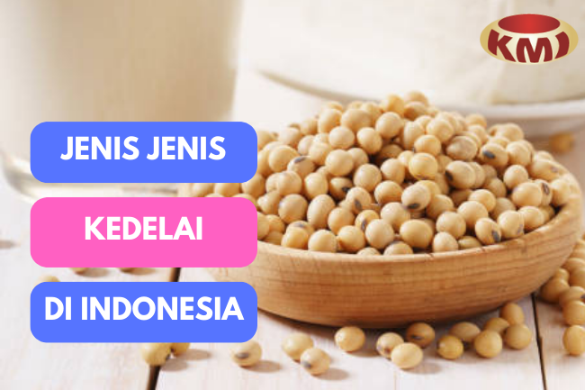 Dari Kedelai Hitam Hingga Edamame: Inilah Jenis Jenis Kedelai